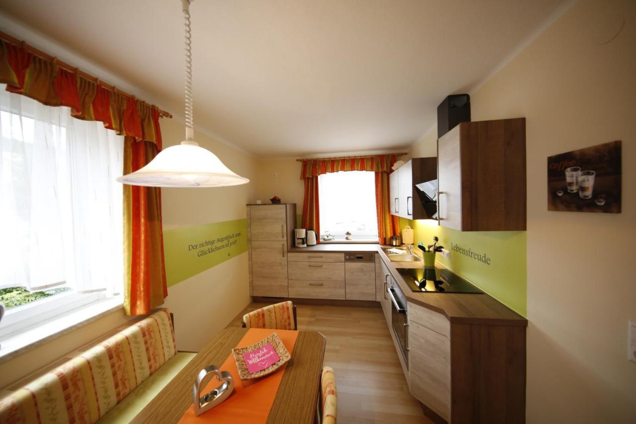 Apartment Helga Schladming